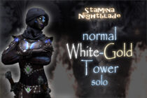 White-Gold Tower Solo Run